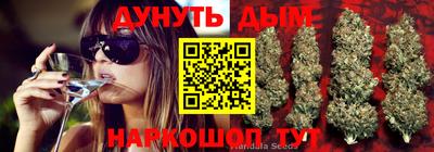 ГАЛЛЮЦИНОГЕННЫЕ ГРИБЫ Обь