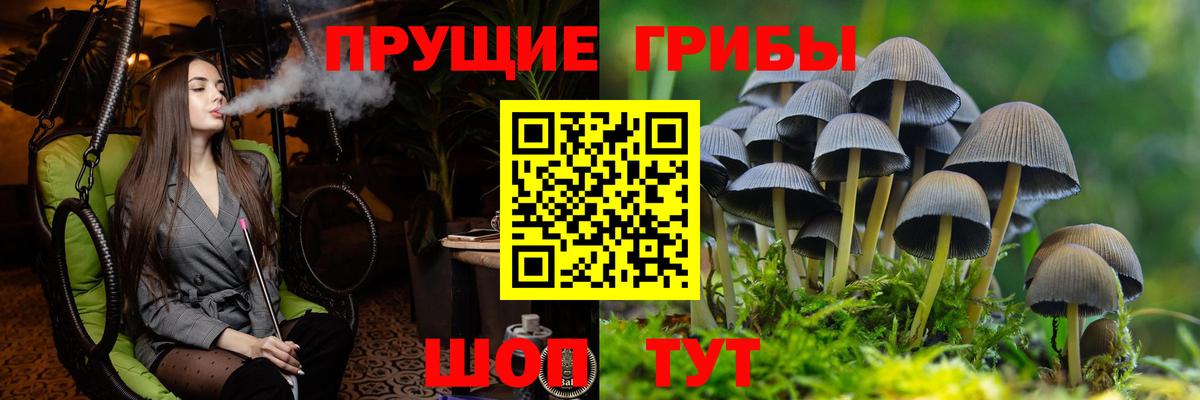 Истра  Галлюциногенные грибы ЛСД  Вход с VPN  Псилоцибиновые грибы прущие грибы 